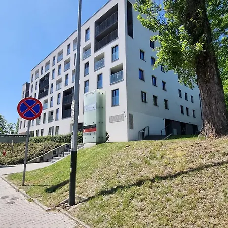 Chihuahua_apartaments * Krakow