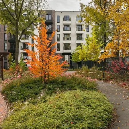 My - Rakowicka Apartament