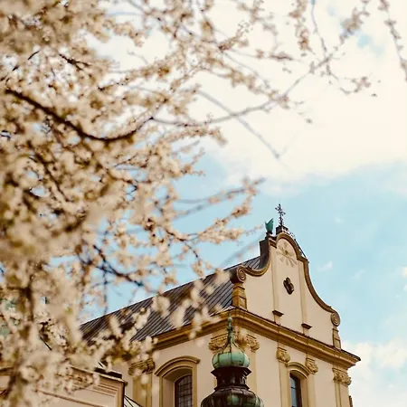 Well Well Aparthotel Cracovia