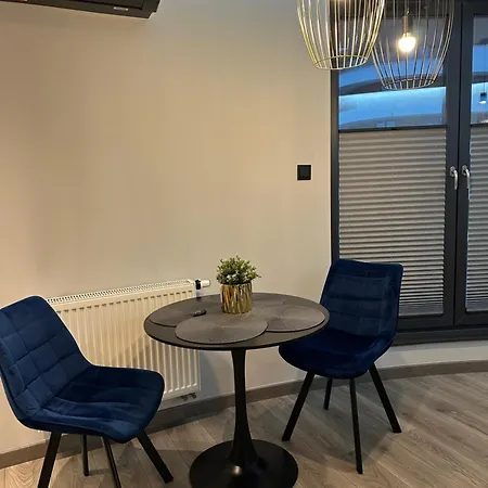 Beautiful And Modern Apartment- Garage- Wislane Tarasy Apartment *