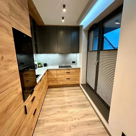 Beautiful And Modern Apartment- Garage- Wislane Tarasy