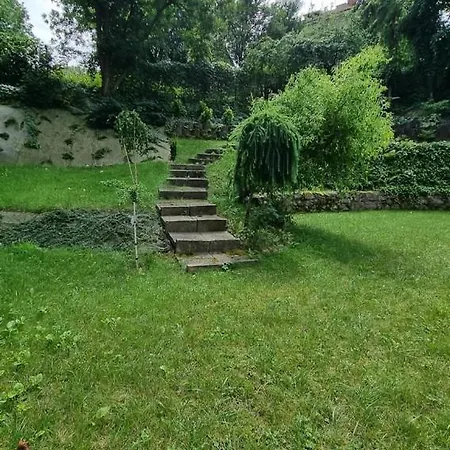 House With Garden Krolowej Jadwigi Street Apartment *