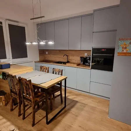 Apartment Chihuahua_apartaments Krakow