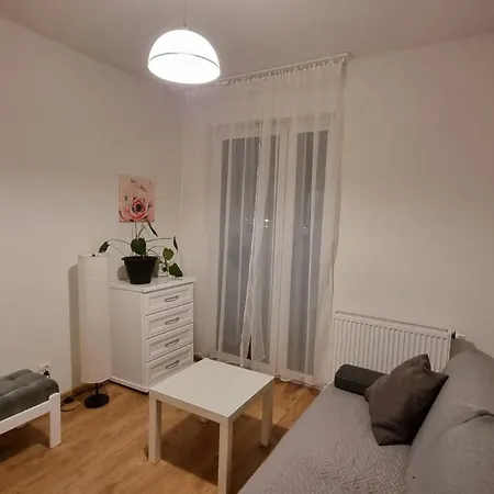 Chihuahua_apartaments Apartment