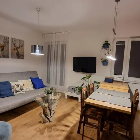 Chihuahua_apartaments