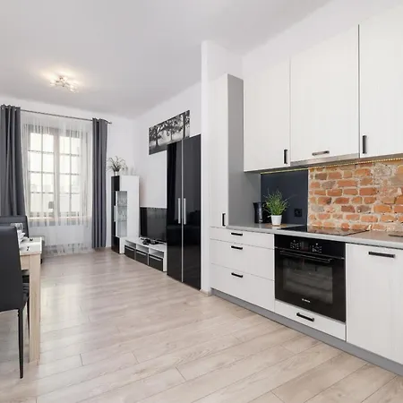 Spacious, 2 Bedrooms Cracow Centre By Renters Apartment Krakow