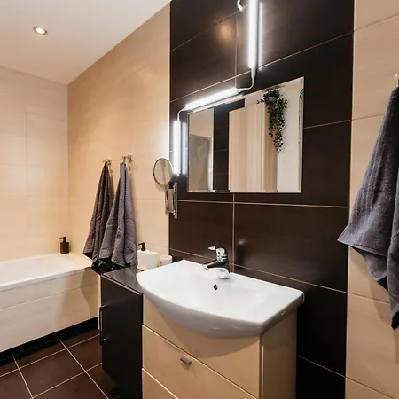 2-room With Garage And Air Conditioning In The Center *