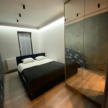 Beautiful And Modern Apartment- Garage- Wislane Tarasy Apartment *