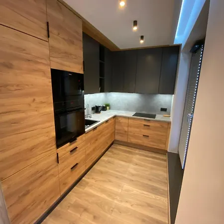 Apartment Beautiful And Modern Apartment- Garage- Wislane Tarasy *
