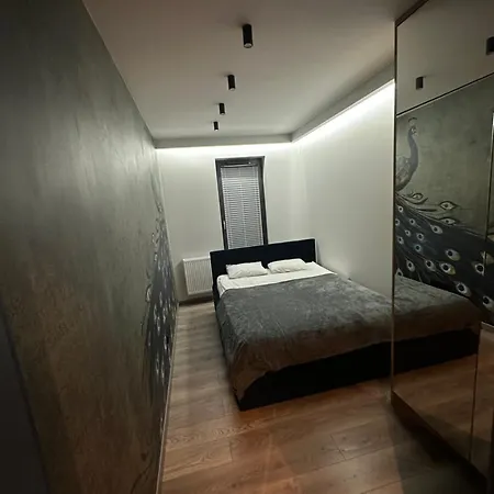 Beautiful And Modern Apartment- Garage- Wislane Tarasy Apartment *