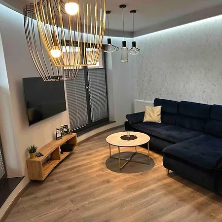 Beautiful And Modern Apartment- Garage- Wislane Tarasy Apartment *