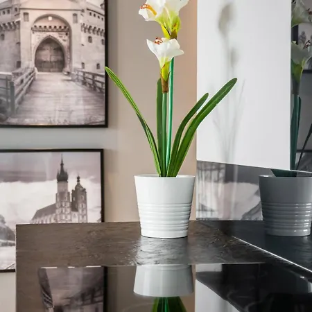 Apartament Krzyża