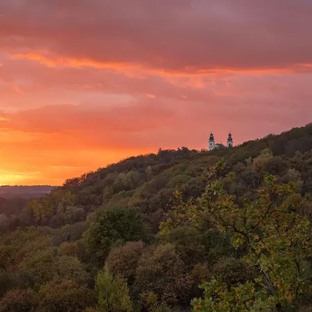 Hotel Zinar Castle