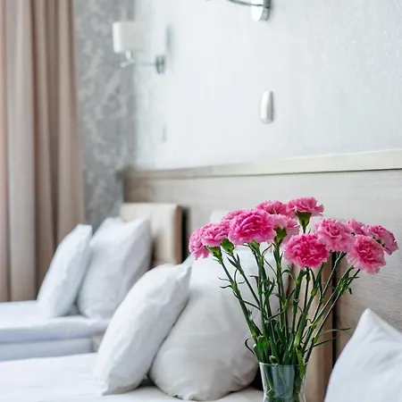 Maximum Hotel 3*