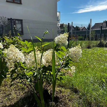 M&m Glogera Apartament Kraków