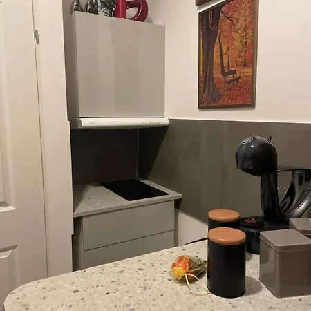 Family Apartment