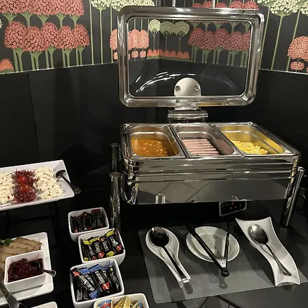 亚历山大2号酒店 克拉科夫