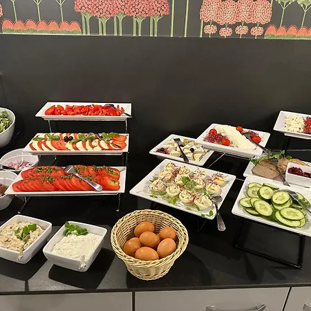 亚历山大2号酒店 酒店 克拉科夫