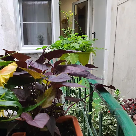 Apartamento Ok Lux Cracóvia