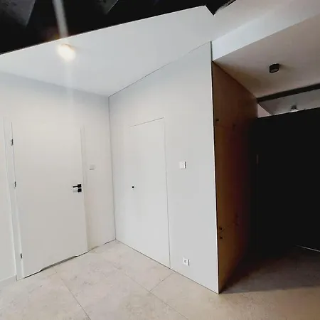 Przestronny Apartament, Ogrodek, Miejsca Postojowe W Garazu Apartment Krakow