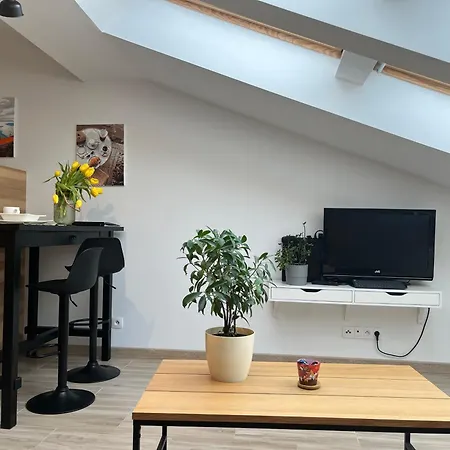 Feelhome With Kitchen Apartment Krakow