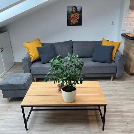 Apartment Feelhome With Kitchen Krakow