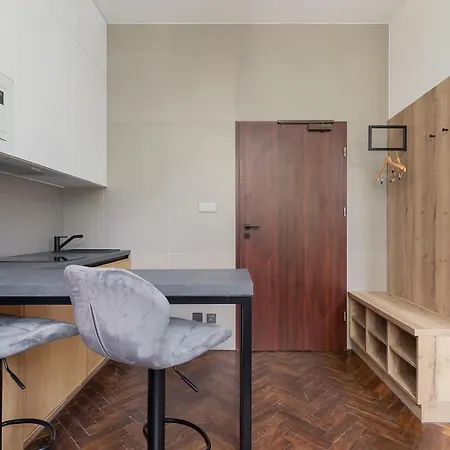 Kazimierz Area - Dietla 21 Street Apartment