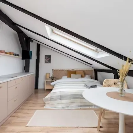 Apartament Wislna Old Town *