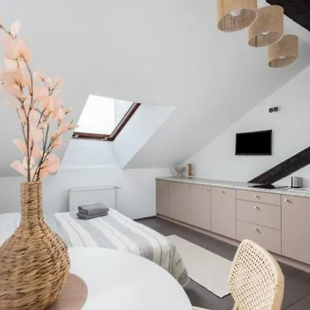 Apartament Wislna Old Town Kraków
