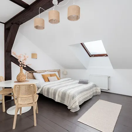 Apartament Wislna Old Town *
