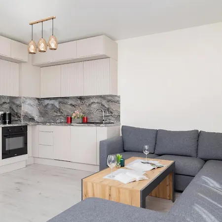 Beautiful & Spacious 1 Bedroom Apartament With Balcony By Renters Apartment