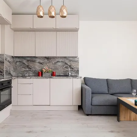 Beautiful & Spacious 1 Bedroom Apartament With Balcony By Renters Apartment *