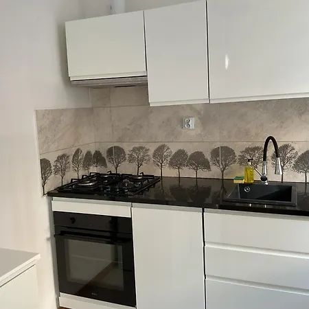 Omorika Na Zamkowej Apartment