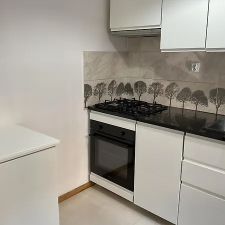 Apartment Omorika Na Zamkowej