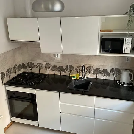 Apartment Omorika Na Zamkowej