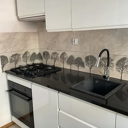 Omorika Na Zamkowej Apartment Krakow