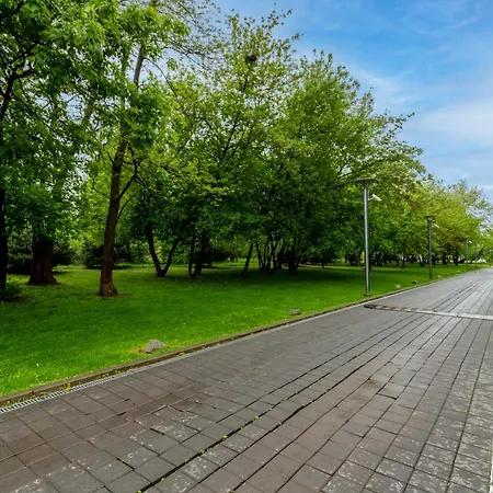 Zabiniec Paris *