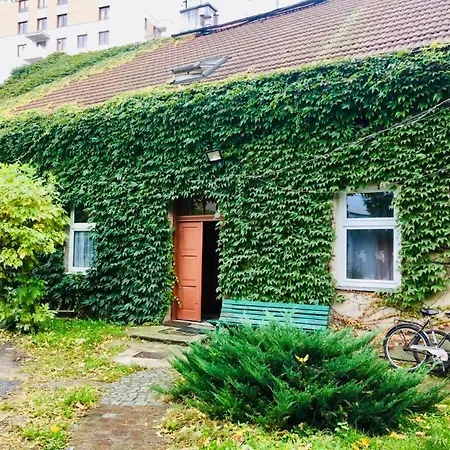 In Ivy Covered House, Near Old Town Krakow