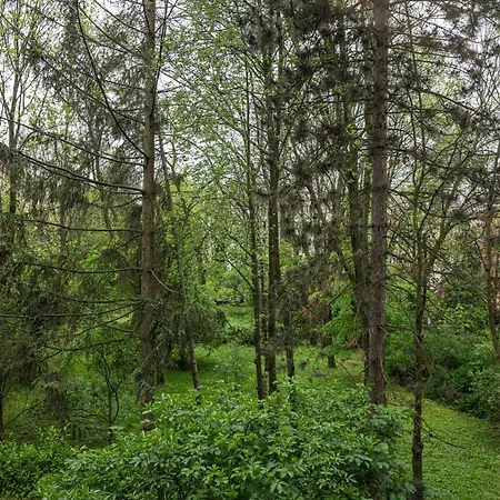 Apartament Parkowy Ul. Raclawicka *