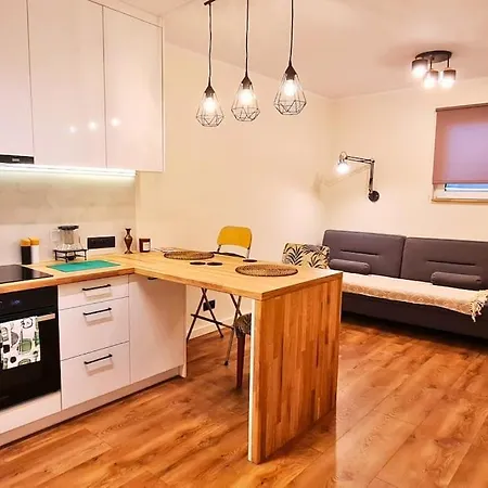 Apartment Modern 2 Bedroom Apartment/kazimierz/paulinska St. Krakow