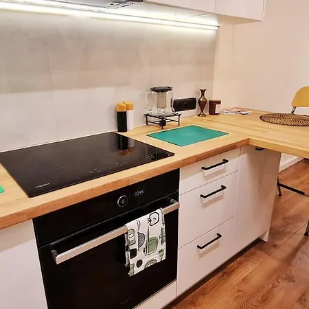 Apartment Modern 2 Bedroom Apartment/kazimierz/paulinska St.
