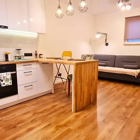 Modern 2 Bedroom Apartment/kazimierz/paulinska St. Krakow