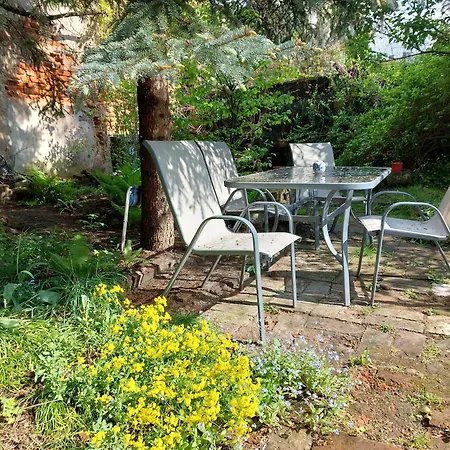 Różana Przy Ice Apartament *