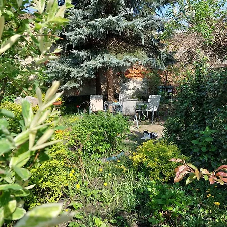 Apartament Różana Przy Ice Kraków