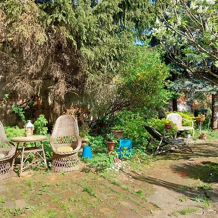 Różana Przy Ice Apartament *