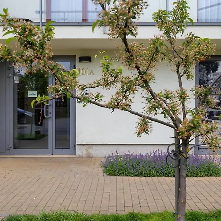 Apartment Z Parkingiem I Balkonem W Krakowie By Rent Like *