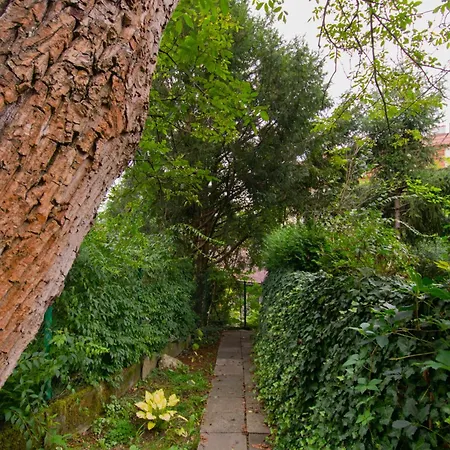 House With Garden Krolowej Jadwigi Street