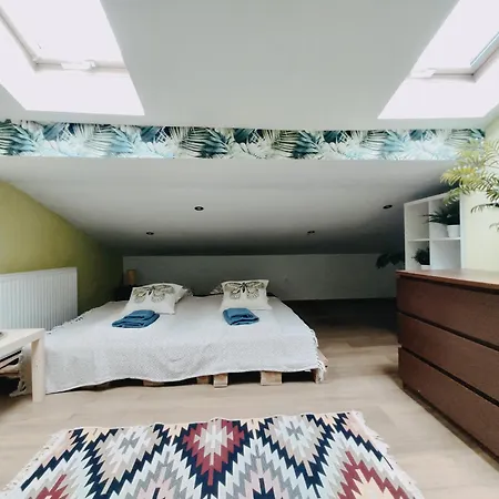 Apartament Chodkiewicza 10 Kraków