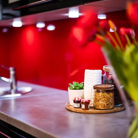 Rimini Moxy Te&am Cracow Apartment Krakow