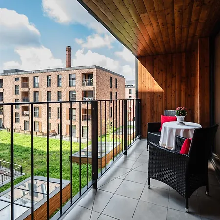 Rimini Moxy Te&am Cracow * Cracovia